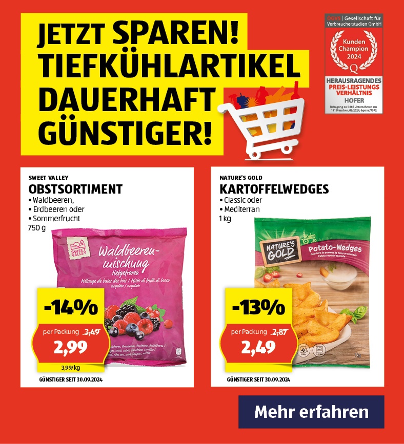 Dauerhaft Günstiger PV42