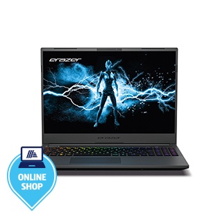 MEDION Gaming Notebook Major X20 (MD62617)
