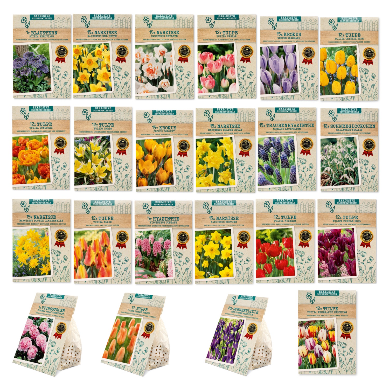 Exklusive Blumenzwiebeln
