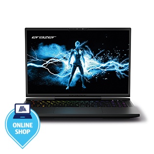 ERAZER High-End Gaming Notebook Beast x40 (MD62611)