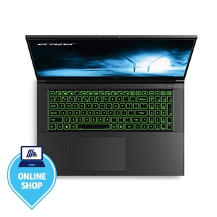 ERAZER High-End Gaming Notebook Scout E30 (MD62597)