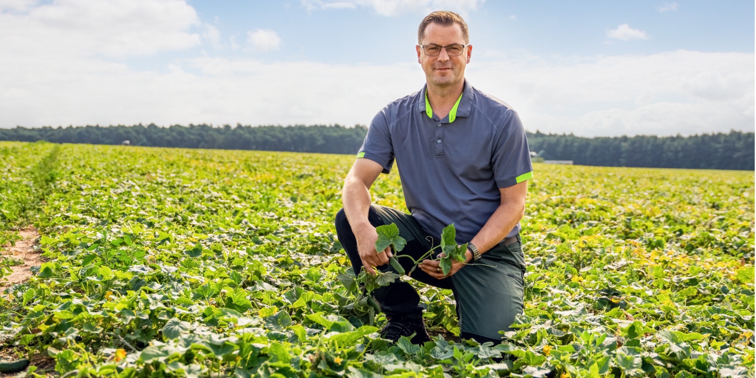 Herr Frehn kniet im Anbaufeld und hält einen Strang Gurken.