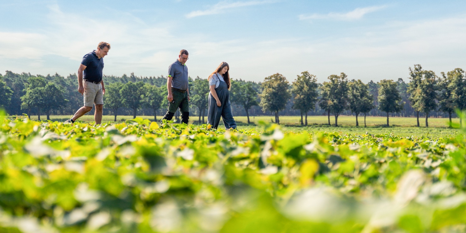 Familie Frehn läuft gemeinsam über das Feld.