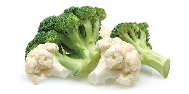 Brokoli in cvetača na beli podlagi