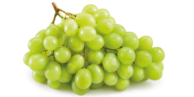 Belo grozdje na beli podlagi