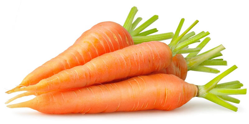 Korenje na beli podlagi