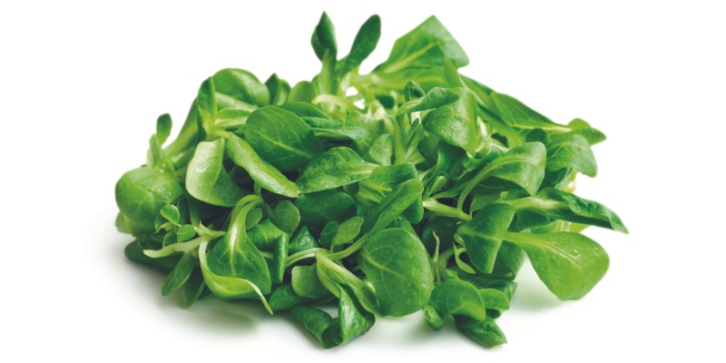 Motovilec na beli podlogi