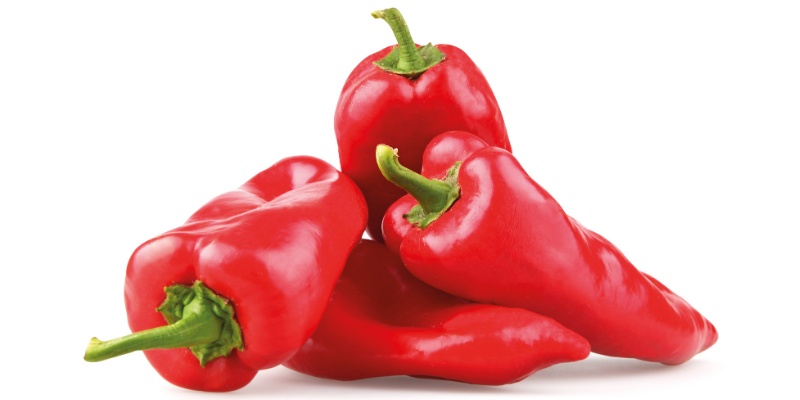 POdlogovata rdeča paprika