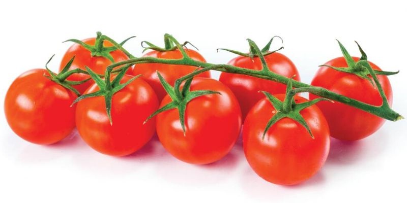 Češnjev paradižnik v grozdu