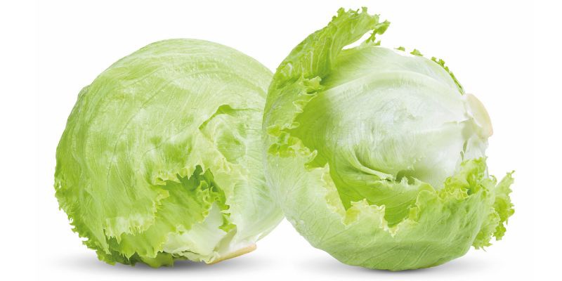 Solata ledenka na beli podlagi